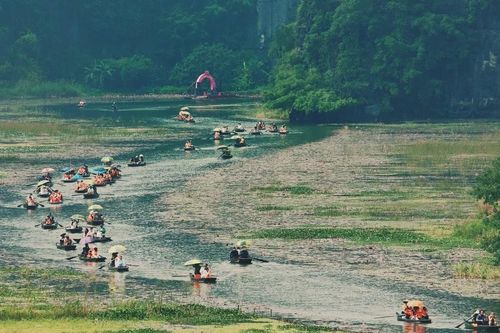 Ngồi thuyền ngắm mùa hoa súng Tam Cốc, du khách say quên lối về