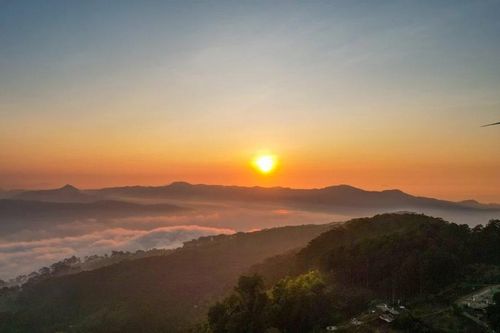 Đồi chè Cầu Đất điểm 'săn' bình minh khiến du khách mê mẩn