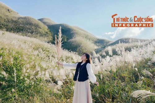 [INFOGRAPHIC] Bình Liêu mùa lau trắng
