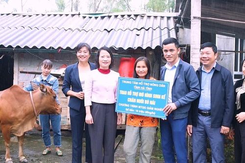 Hỗ trợ bò nái sinh sản, trao 'cần câu' sinh kế cho người nghèo ở Hà Tĩnh