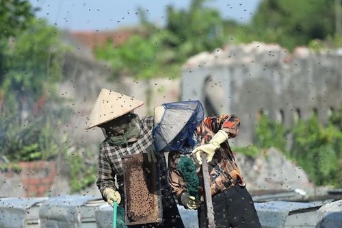 Giảm nghèo gắn với bảo tồn sinh thái