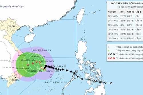Bão Koto giảm cấp, hướng vào Gia Lai rồi suy yếu dần