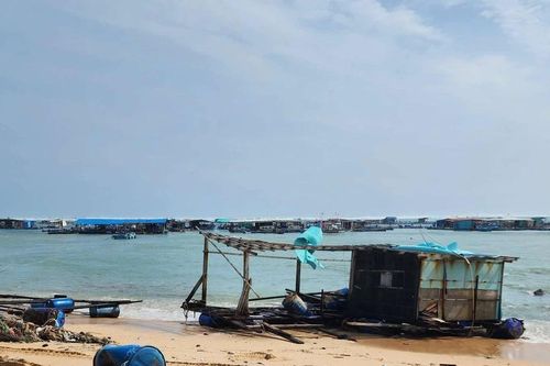 Phú Quý: Người nuôi thủy sản thiệt hại hơn 2 tỉ đồng do ảnh hưởng bão Koto