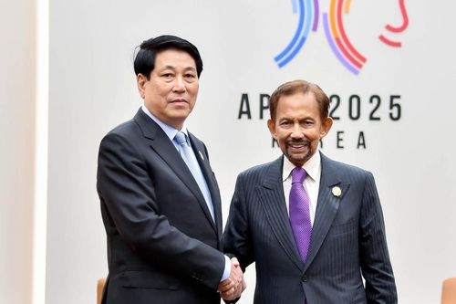 Đại sứ Trần Anh Vũ: Chuyến thăm của Quốc vương Brunei thể hiện sự coi trọng và tình hữu nghị bền chặt dành cho Việt Nam