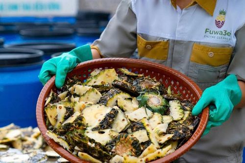 Biến vỏ dứa thành sản phẩm nước tẩy rửa đạt OCOP