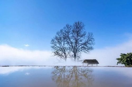 Lào Cai công bố nhãn hiệu 'Du lịch Y Tý'