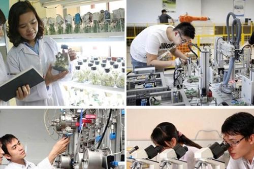 Tạo điều kiện tốt nhất để chuyên gia về nước làm tổng công trình sư