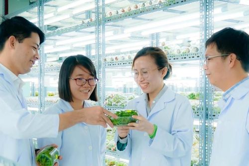 TP HCM bàn cách phát huy giá trị không gian nông nghiệp rộng lớn sau sáp nhập