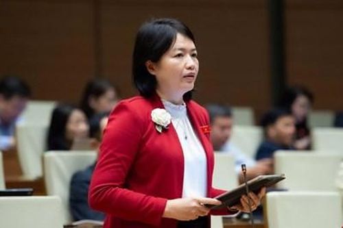 Cần thể chế hóa việc quyết định đầu tư các dự án thuộc lĩnh vực y tế, giáo dục khác với quy hoạch