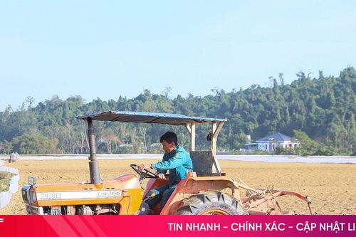 Nông dân Hà Tĩnh 'chạy đua' sản xuất trên những cánh đồng vụ đông