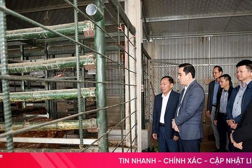 Nhân rộng mô hình nuôi hươu sao tại xã Cẩm Lạc