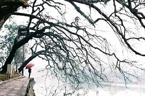 Những ngày rét ngọt đầu đông
