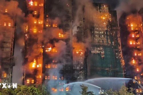 Giàn giáo tre Hong Kong: Từ công cụ xây dựng truyền thống trở thành 'tội đồ'?