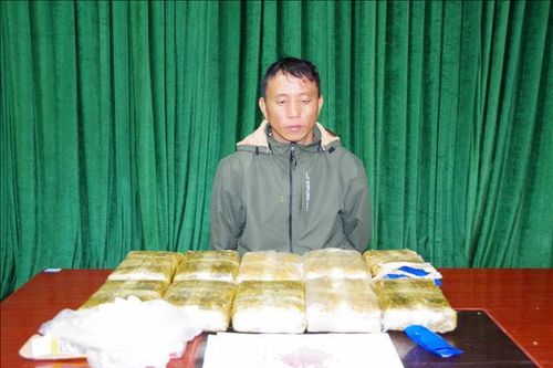 Bắt giữ đối tượng phạm tội về ma túy