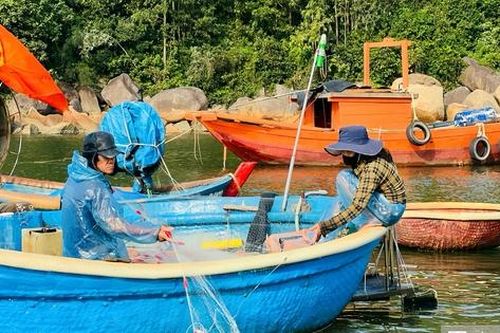 Mưu sinh trên thúng nhỏ: Lời kể của những người 'làm ăn trên bọt nước' ở Sơn Trà