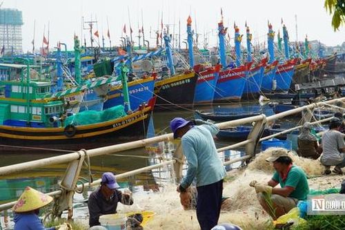 Bão số 15 diễn biến khó lường, hàng trăm tàu cá khẩn cấp vào bờ trú bão ở Phan Thiết