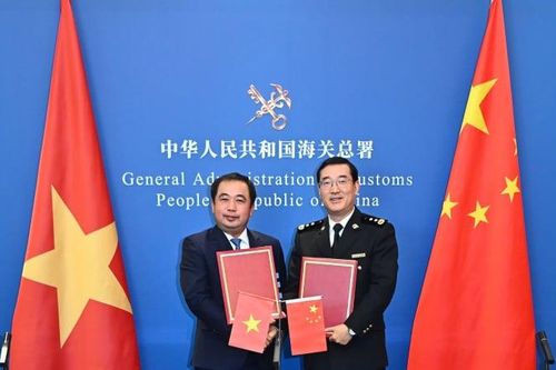 Xuất khẩu mít chính ngạch sang Trung Quốc: Cột mốc quan trọng với nông sản Việt