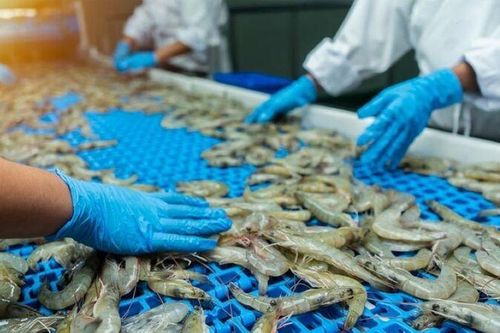 Xuất khẩu thủy sản 2025 hướng tới mốc 11 tỷ USD