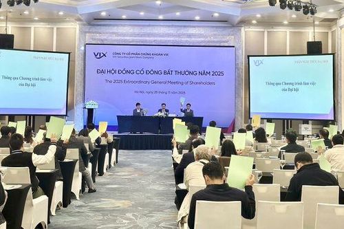 VIX: Sẽ chào bán hơn 918 triệu cổ phiếu, nâng vốn điều lệ lên khoảng 24.500 tỷ đồng