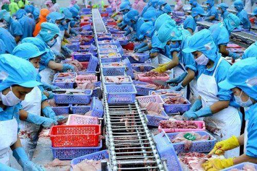 Xuất khẩu thủy sản hướng tới mốc 11 tỷ USD bất chấp nhiều sức ép