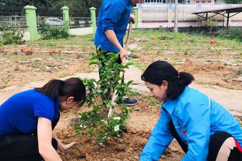 Xây dựng lối sống xanh trong học sinh: Hành trình vì tương lai bền vững