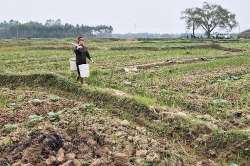 Phấn đấu giải phóng mặt bằng Khu công nghiệp Mỹ Thái giai đoạn 1 trong tháng 12/2025