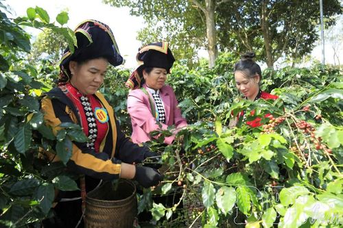 Du lịch sinh thái gắn với trải nghiệm sản xuất