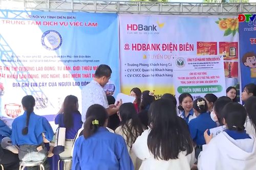 Ngày hội việc làm tỉnh Điện Biên năm 2025 – Cơ hội tìm kiếm việc làm ổn định