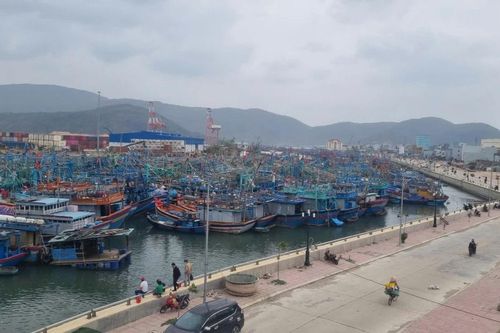 Gia Lai sẵn sàng phương án ứng phó với bão số 15