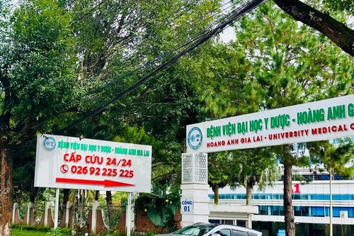 Bệnh viện Đại học Y Dược-HAGL cấp cứu thành công bệnh nhân sốc phản vệ do ong vò vẽ đốt