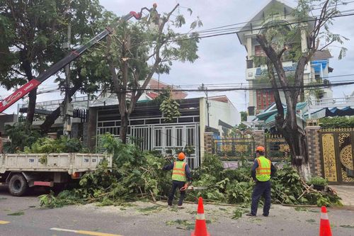 Phường Cam Ranh chủ động ứng phó bão số 15