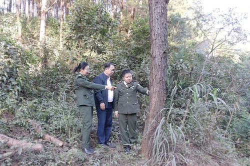 Bền vững 'vàng xanh'