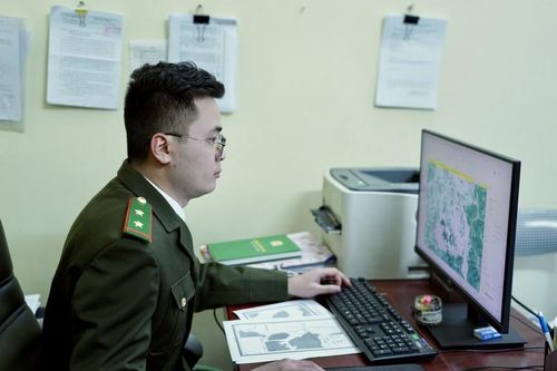 Số hóa quản lý rừng