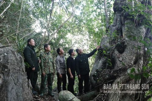 Báu vật của Đông Đằng