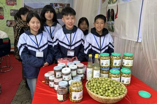 Giữ rừng từ trường học