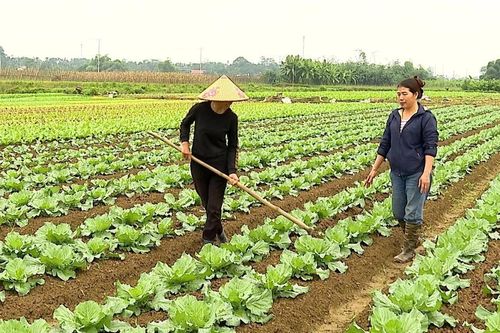 Phụ nữ Quy Mông khẳng định vị thế, phát triển kinh tế bền vững từ nông nghiệp