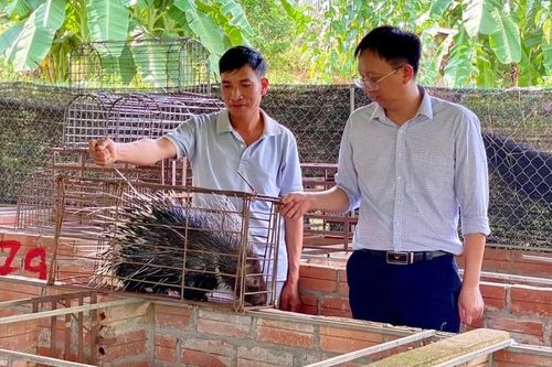 Nghĩa Tâm vững bước trên hành trình xây dựng nông thôn mới