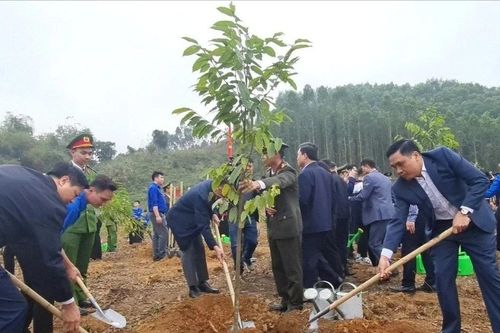 Lâm nghiệp Việt Nam: 80 năm giữ 'lá phổi xanh' và tạo dựng thịnh vượng