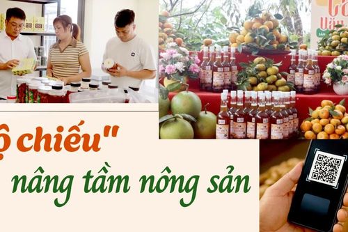 'Hộ chiếu' nâng tầm nông sản