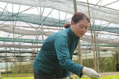 Ðồng hành phát triển kinh tế