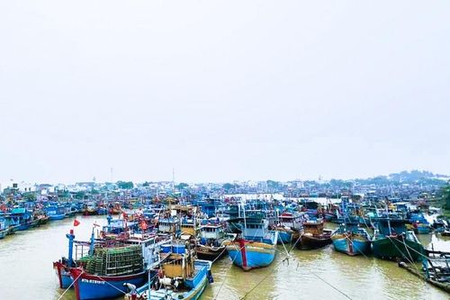 Đồn Biên phòng Phước Lộc yêu cầu tàu thuyền ngừng xuất bến để ứng phó bão số 15 Koto