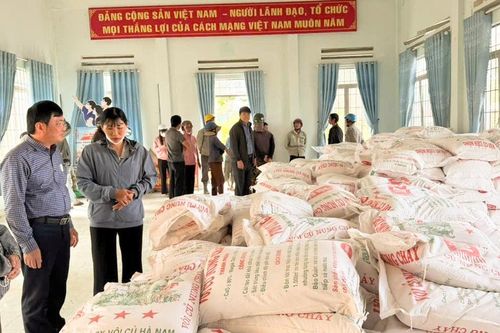 Hỗ trợ người dân Cát Tiên phục hồi sản xuất nông nghiệp