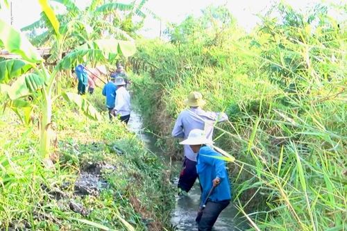Hồng Thái hoàn thiện hạ tầng, nâng tầm nông nghiệp