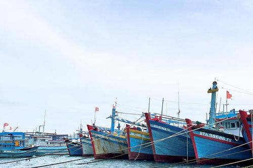 Tàu cá công suất lớn ở Phú Quý được vào đất liền tránh bão số 15