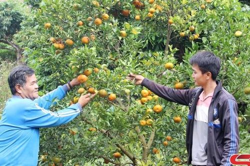 Đổi thay ở bản biên giới