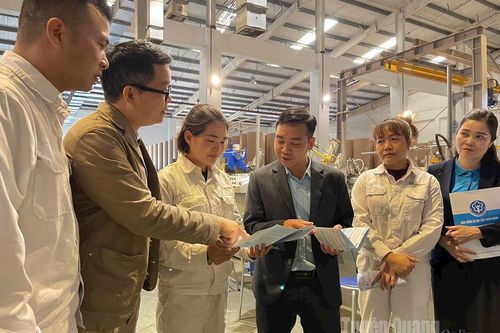 BHXH tỉnh Tuyên Quang: Tăng tốc hoàn thành chỉ tiêu