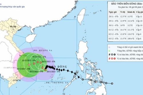 Bão số 15 KOTO suy yếu dần, di chuyển rất chậm