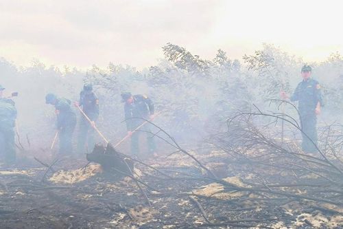 Cán bộ, chiến sĩ Đồn Biên phòng Cửa Tùng tham gia chữa cháy rừng phòng hộ