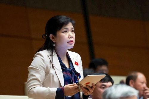 ĐBQH Nguyễn Thị Thu Hà (Quảng Ninh): Bổ sung vào quy hoạch quốc gia để khai thác lợi thế 'mỏ vàng' logistics Con Ong - Hòn Nét