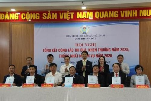 Liên minh HTX Việt Nam: Cụm thi đua số 2 đặt mục tiêu nâng cao chất lượng HTX, hướng tới năm 2026 nhiều dấu mốc lớn